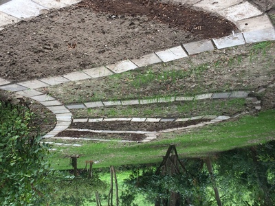 Moestuin polderij 1